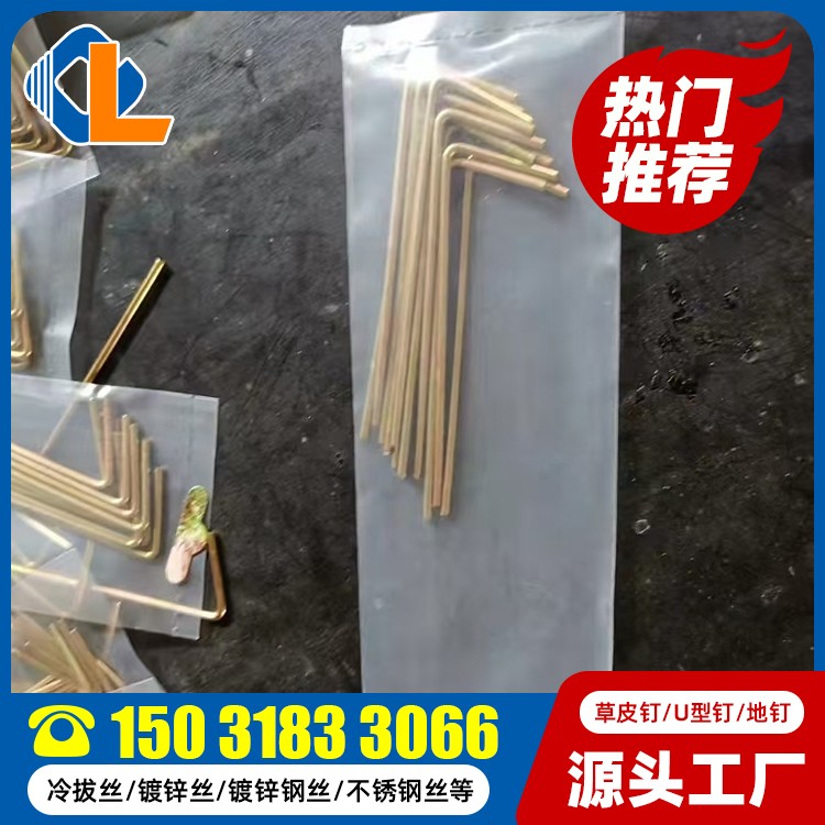 土工格柵U型釘尺寸規(guī)范 土工格柵草坪釘尺寸規(guī)范 U型釘價格 草坪釘固定土工格柵